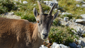 Dépannage climatisation Voiron
